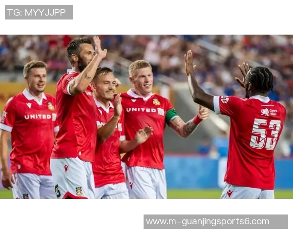 冰岛迎战丹麦欧国联激战在即球迷期待精彩对决